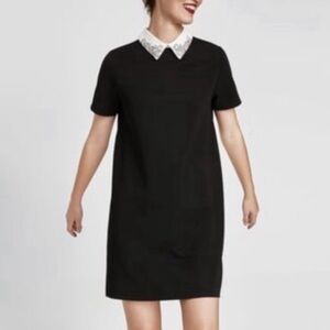 ELLE black white lace Peter Pan collar stretch short sleeve shift dress medium